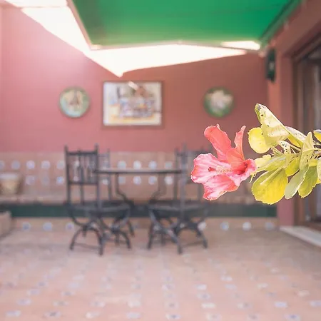 Historic Apartment In Santa Cruz Seville Exterior photo
